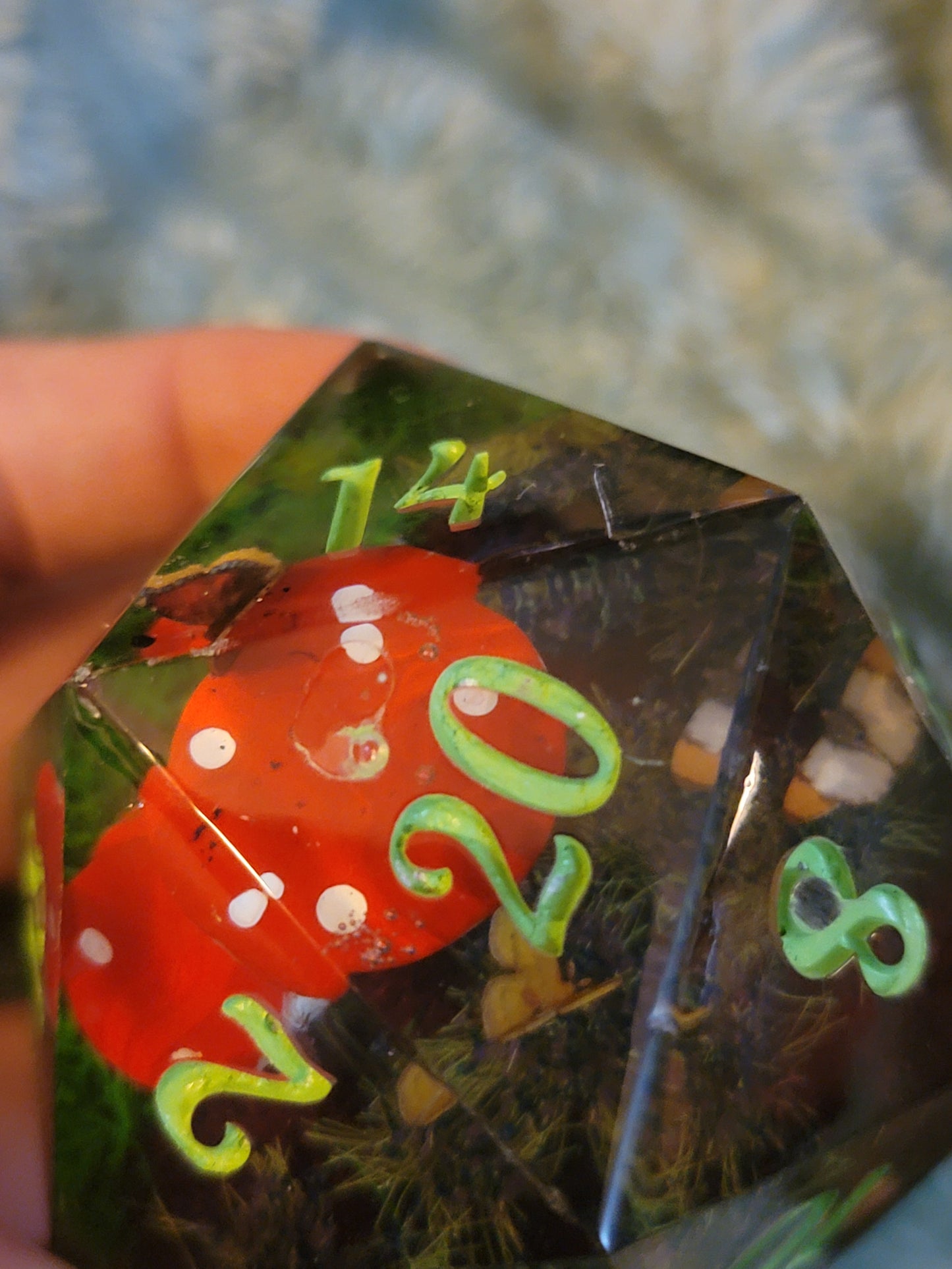 B-Grade 60mm Mushroom Forest D20