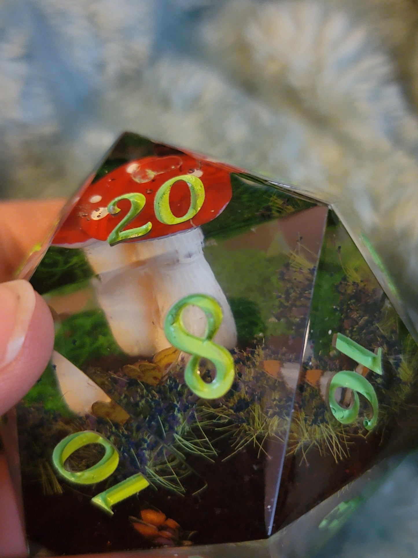 B-Grade 60mm Mushroom Forest D20