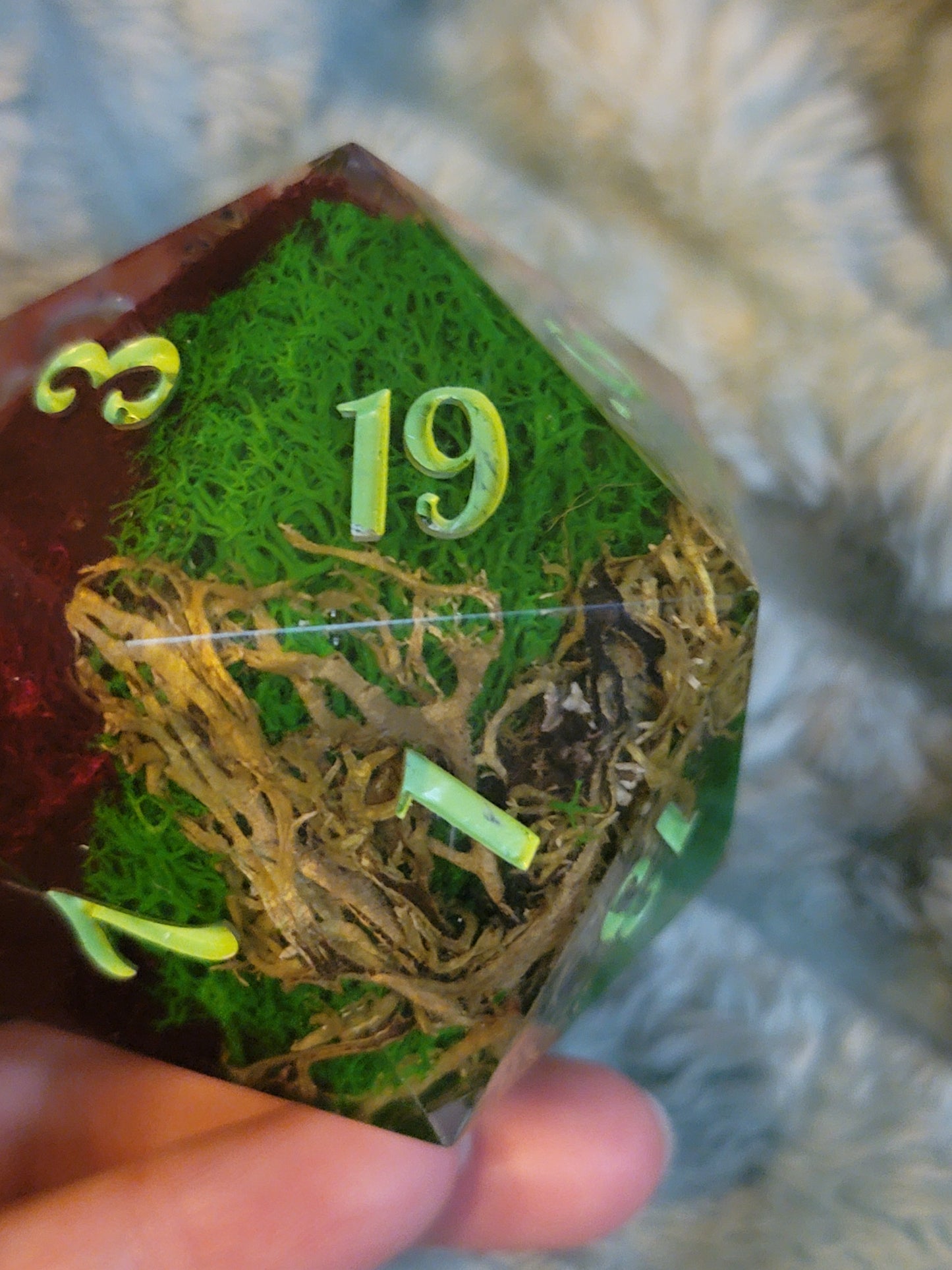 B-Grade 60mm Mushroom Forest D20